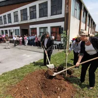 V Kobjeglavi je Navpotnikovi pri sajenju skorša pomagal občinski svetnik Marjan Guli 