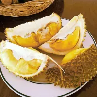 Durian, sadež, ki ga na Tajskem častijo kot kralja