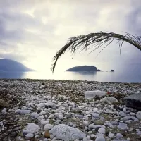 Jernej Skrt: Budva