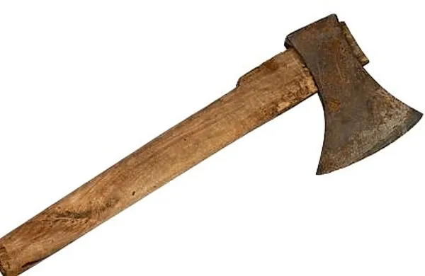 Ženo je umoril med spanjem