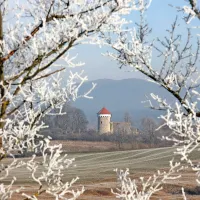 Stojan Spetič, Graščina Kalc v središču 
