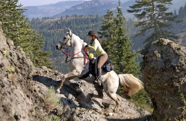 Letos se bodo lahko tekmovalci v vzdržljivostnem jahanju (endurance) pomerili tudi v Trnovskem gozdu