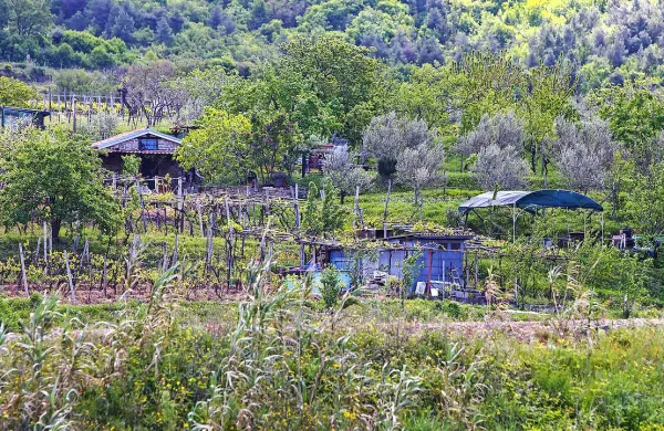 Izolske pomožne kmetijske objekte naj bi kmalu poenotili, da ne bi več kazili krajine 