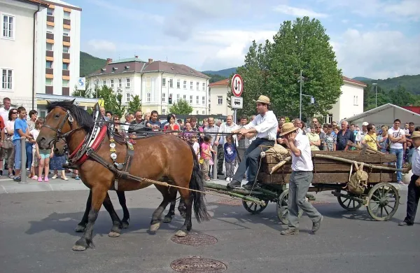 Furmanski praznik v nedeljo vabi obiskovalce v Postojno 