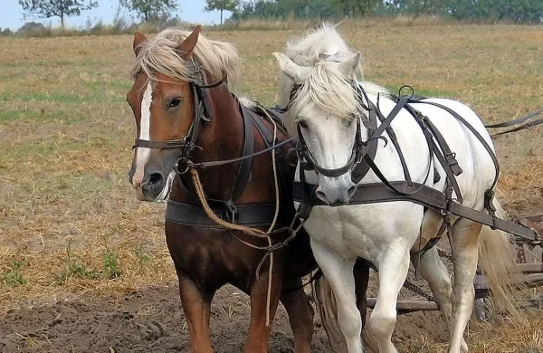 Fotografija je simbolična