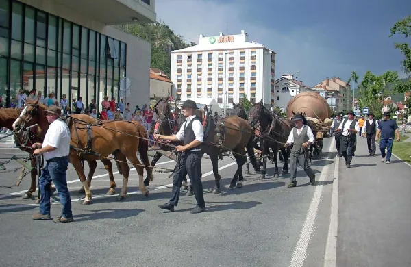 Društvo za oživljanje lokavskega izročila Doli je s šestnajstimi vpreženimi konji in dvema rezervnima poskrbelo za svojevrsten furmanski rekord.  