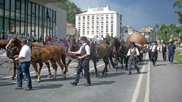 Društvo za oživljanje lokavskega izročila Doli je s šestnajstimi vpreženimi konji in dvema rezervnima poskrbelo za svojevrsten furmanski rekord.  