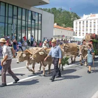 Razvojno društvo Merišče iz Merč je s svojo vprego spomnilo, da so furmanske vozove sprva prevažali voli, šele nato konji.