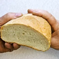 Tudi kruh in izdelke iz žitaric svetujejo strokovnjaki  