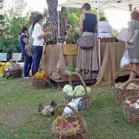 Vegetarijanstvo ni le prehrambeni, ampak predvsem  življenjski stil