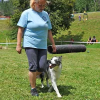 Tanja Gril  je s psičko Inn pasme border collie pokazala, kako poteka izpit  B-BH za psa spremljevalca na vadbišču 