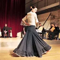 Od flamenka do sonat