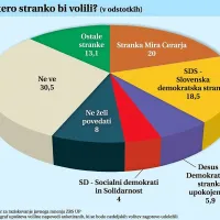 Med anketiranimi, ki se bodo zagotovo udeležili nedeljskih volitev, bi jih petina volila Stranko Mira Cerarja. Velik delež, 30,5 odstotka, je še neopredeljenih, osem odstotkov pa jih svoje odločitve ni želelo razkriti.