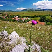   Dolina, v kateri leži Bosansko Grahovo   