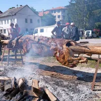 Vol na žarku, kot se za tamkajšnje proslave spodobi 