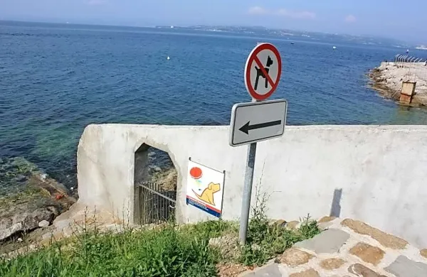 Psi se lahko kopajo povsod, kjer to ni  prepovedano     