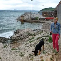 V Izoli imajo edino plažo za pse na naši obali, lastniki štirinožcev jo radi obiskujejo