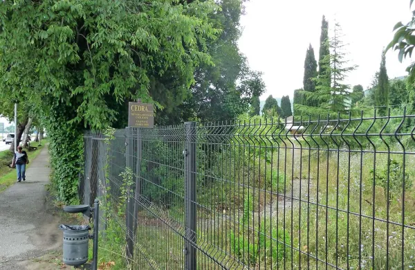 Izolska vrtnarija je precej zanemarjena, od kar je šlo podjetje Vrtnarstvo Cedra  pred poldrugim  letom v stečaj 