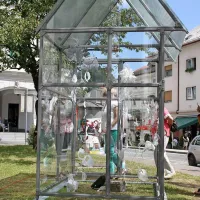  Rastlinjak in še pet razstav čipk v Idriji, v muzeju pa ob vikendih igralnice na temo čipk za otroke