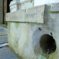... in lezli domala iz vseh špranj ter jaškov
