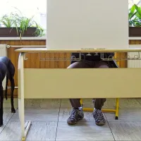 Kdo se bo v Divači potegoval za županski stol