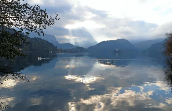 V bližini festivalne dvorane na Bledu je danes zgodaj zjutraj irski turist skočil v jezero, po navedbah očividcev pa se nato ni vrnil na obalo