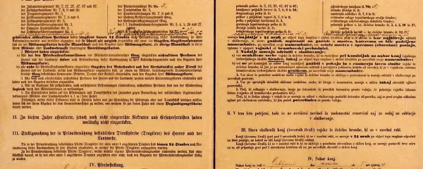 Avstro-Ogrska je ob vojni napovedi Srbiji objavila razglas o delni mobilizaciji vojske, čez nekaj dni, ko je začela vojsko mobilizirati Rusija, pa še razglas o splošni mobilizaciji. Vest, da morajo pod orožje, je cesarstvo  razširilo tako, da so kurirji