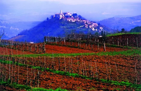 Motovun 