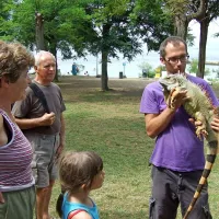 Zeleni legvan Franček včeraj ni bil najbolj razpoložen za božanje