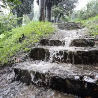 Turisti so plavali med &scaron;otori