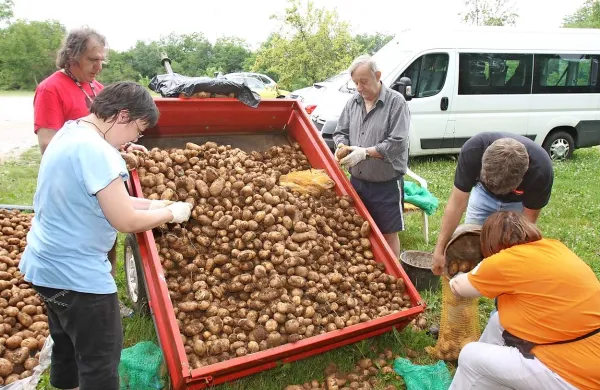 Letos so pridelali kar tono krompirja, kar bo zadoščalo  za  mesec oskrbe stanovalcev s tem živilom