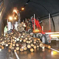Hlodovino so  preložili na drugo tovorno vozilo in odpeljali iz predora