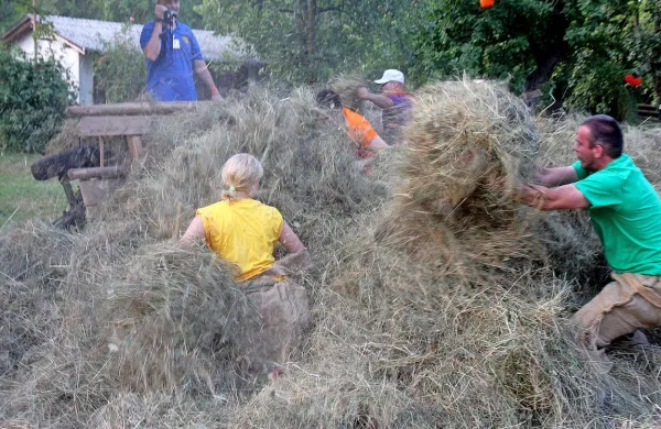 Iskanje zvončkov v senu je ena izmed privlačnih pastirskih iger
