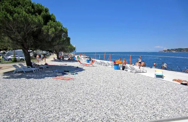 Na Primorskem sonce