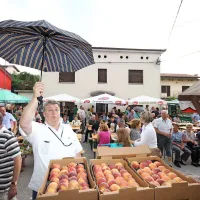 Praznik ugla&scaron;en s sezono