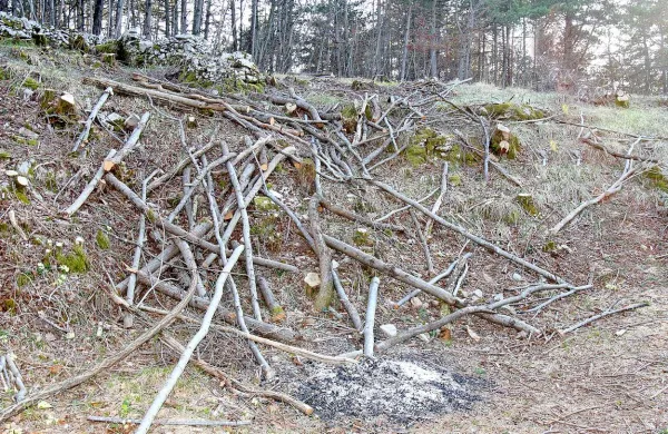 Fotografija je simbolična