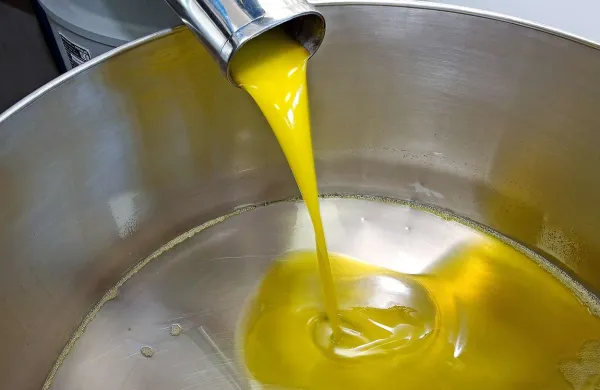 V Društvu oljkarjev Brda očitno ne teče vse gladko
