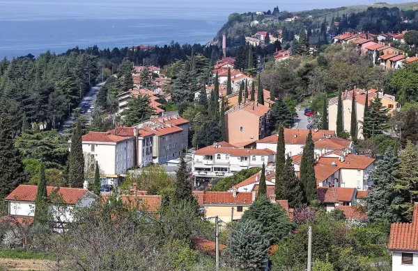 V  slabem mesecu se je v Ankaranu prijavilo 208 novih prebivalcev, kar pomeni skoraj osem odstotkov vseh volilnih upravičencev