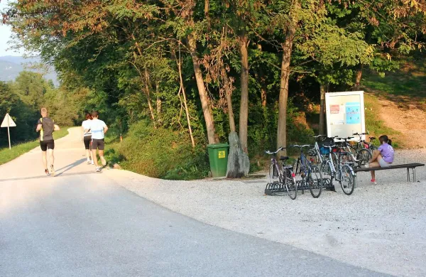 Novogoriška športna zveza bo 6. septembra v gozdu Panovec soorganizator tekov za vse kategorije