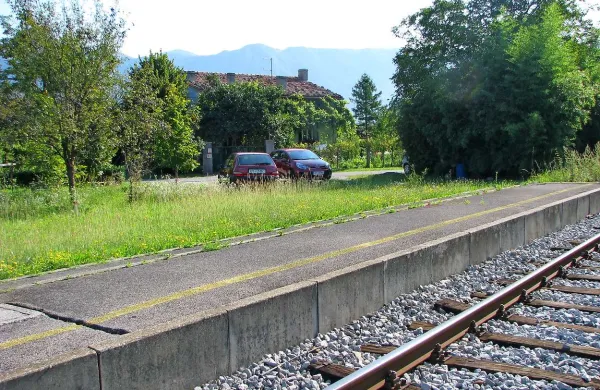 Za zdaj pod slivo in lipama na Cesti  stojijo le količki