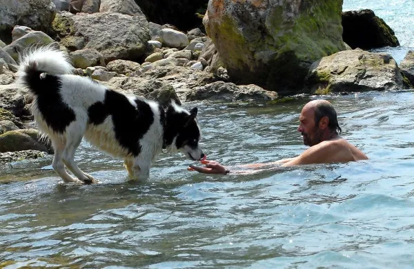 Druženje s hišnimi ljubljenčki je dober način preganjanja osamljenosti