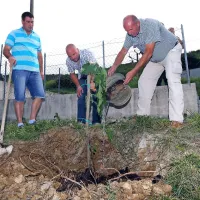 Z vodo iz obnovljenega vaškega vodovoda so zalili figo