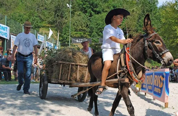 Vprega, ki so jo uporabljali nekoč, je pritegnila radovedne obiskovalce 