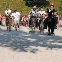 Tradicionalne mušje dirke so znova zabavale številno občinstvo