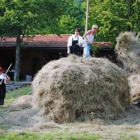 Ob pripravi kope je bilo živahno