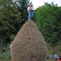 Levpljani so oživili tradicijo - spravilo sena v kope
