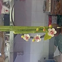 “Za pojest” lepa orhideja
