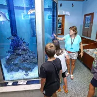 Piranski akvarij je ob dežju mamljiva destinacija zlasti za družine z otroki