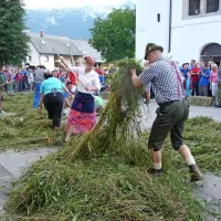 V letošnjem deževnem poletju je težko posušiti krmo
