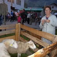 Na Bovškem redijo predvsem ovce. Njihova volna se s pomočjo pridnih rok spreminja v topla oblačila.